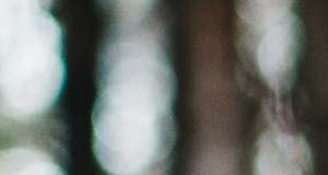 Cameron Oaks | Apartments in Cameron Park, CA